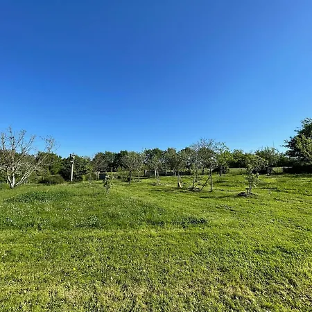 Дом отдыха A Beaufou Avec Terrasse Privee - Fr-1-426-581 *